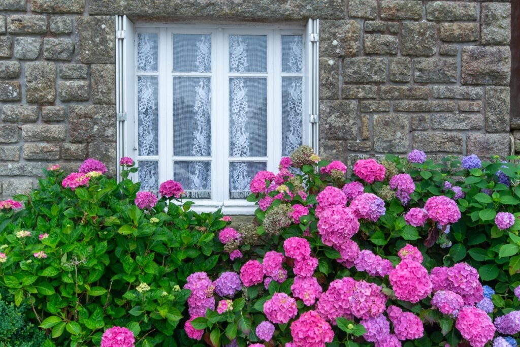 flowering plants