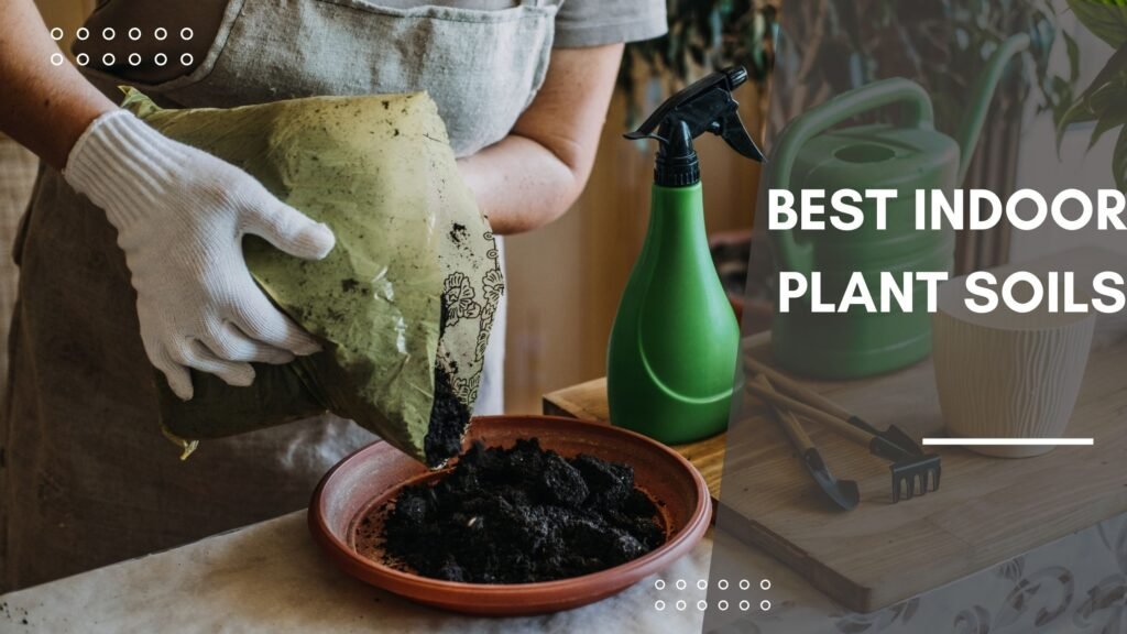 Best Potting Soils for Indoor Plants in Kenya
