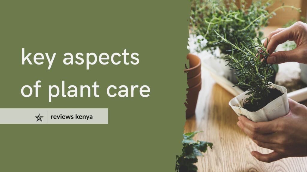 key aspects of plant care