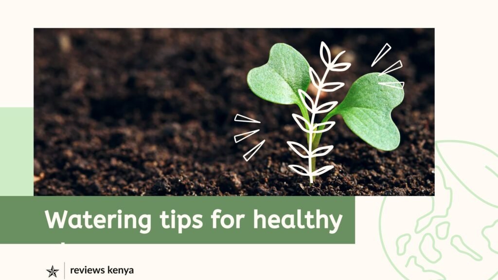 Watering tips for healthy plants