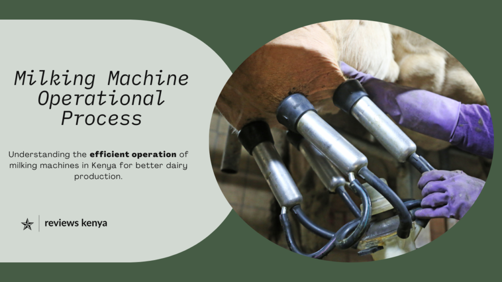 operational process of a milking machine
