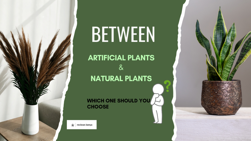 Artificial Plants and Natural Plants: Which One Should You Choose?