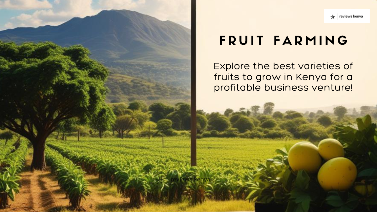 Fruit Business in Kenya: The Best Fruits to Grow - Reviews Kenya